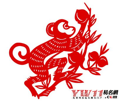 属猴的年份,属猴的人出生年份