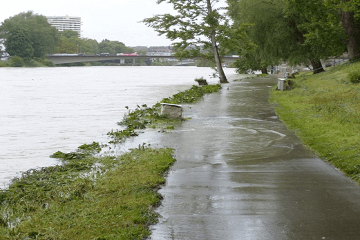 梦见暴雨